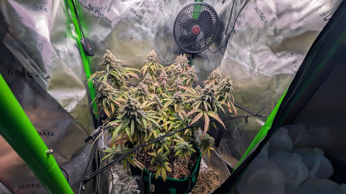 Illustrative grower photo for the simulated demo